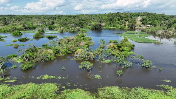 Stunning landscape of Amazon Forest at Amazonas State Brazil.