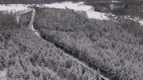 Empty roads intersecting in the middle of a snow covered forest near North Rhine-Westphalia and Rhin