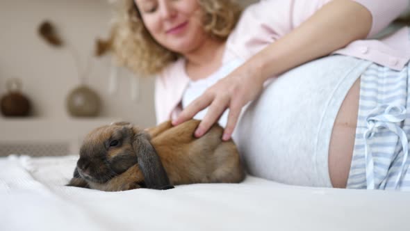 Pregnant Woman Lying On Bed With Rabbit.