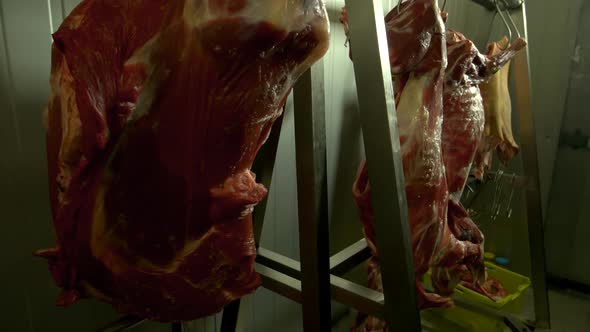 Fresh Raw Meat Hanging in Butchers Shop