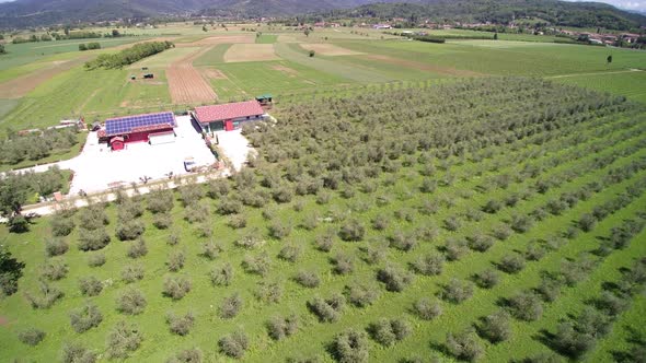 Aerial View Italy vineyard, sunny weather and blue sky