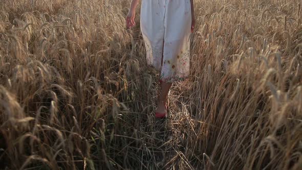 Slim Female Legs Walking in Ripe Wheat Field