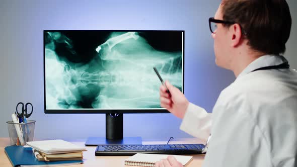 Doctor Veterinarian Examining Cat or Dog Skeleton Roentgen on Computer Monitor