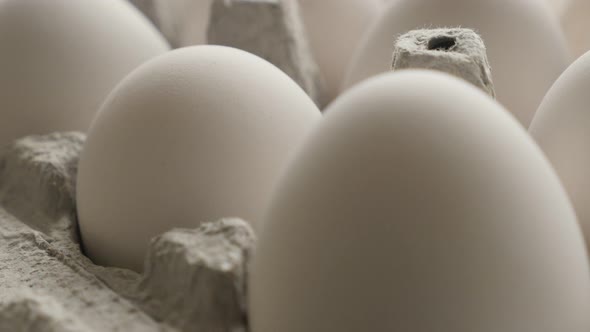 Hen eggs in a row close-up  slow tilt  footage