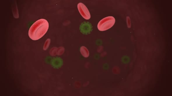 Virus Infection In Blood Stream