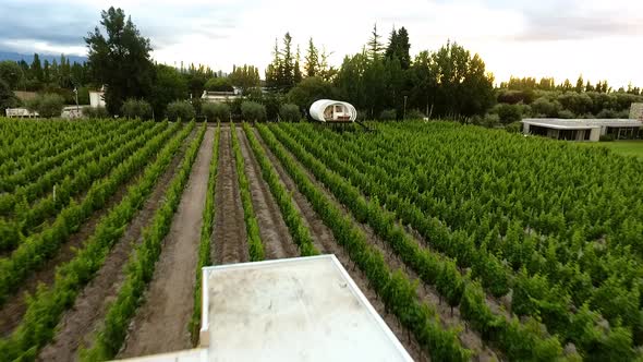 Aerial - vineyard under the clouds, Mendoza, Cuyo, Argentina, wide shot backward