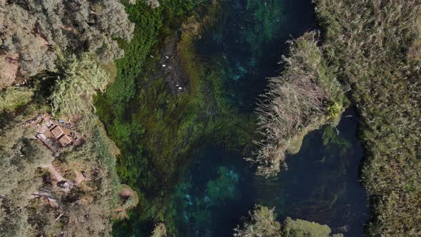 Aquatic Habitat