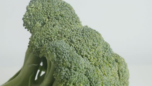 Organic broccoli Brassica oleracea slow tilt footage on white
