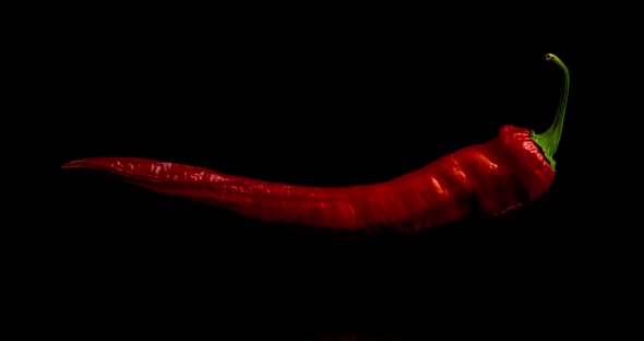 Time Lapse of Drying Red Pepper on Black Background, Drying Process