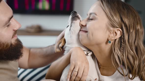 A Man and a Woman the Owners of a Funny Jack Russell Terrier