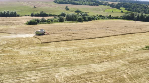 Aerial Drone Shot  a Combine Harvester in a Field in a Rural Area on a Sunny Day  Drone Hovers