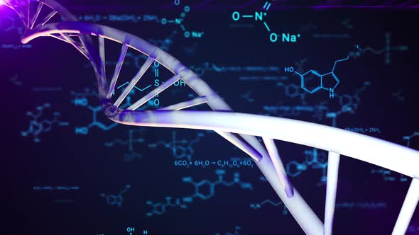 DNA Double Helix and the Chemical Formulas