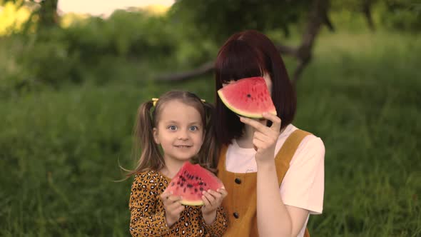 Picnic in Summer Park