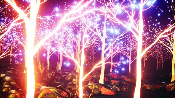 Glowing Magic Forest 4k