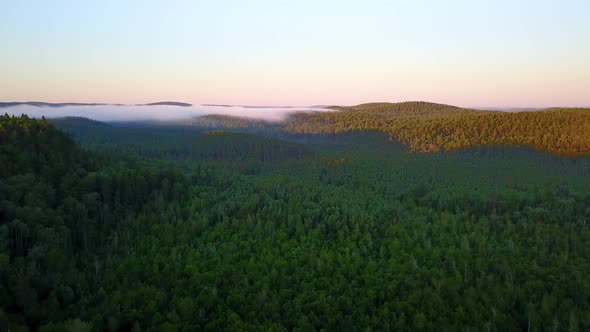 Scenic aerial view of a dense forest as some fog rolls in overtop the trees