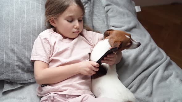 Girl lying on bed, using smartphone with dog in her arm