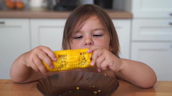 Toddler Girl Eating Boiled Corn Maize. Home Lifestyle Lunch Time.