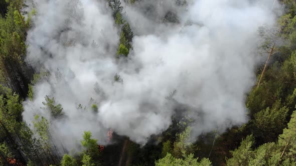 Top View of a Fire Erupted in the Forest