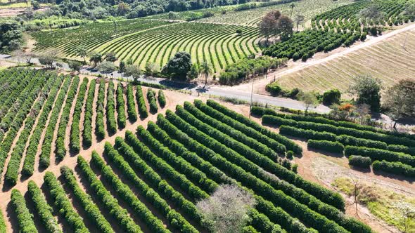 Countryside scenic aerial landscape. Rural life scenery.