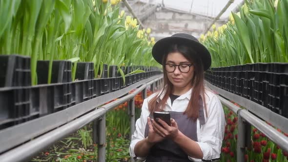 girl checks the blooming tulips in the greenhouse and writes the data to phone.