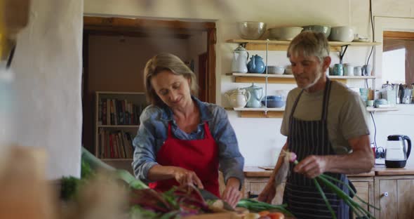 Smiling senior caucasian couple wearing aprons and cooking in kitchen