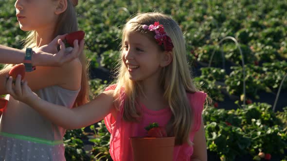 Girls holding strawberries in the farm 4k