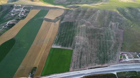 fields in a symmetrical arrangement