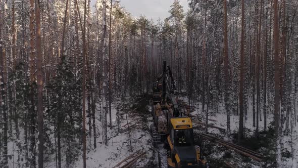 Aerial view of Forest harvester and forwarder at work into the winter forest 27