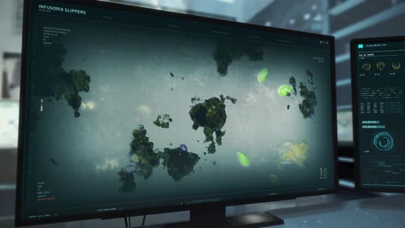 Studying the biological composition of the infusoria slippers bacterium organism alt