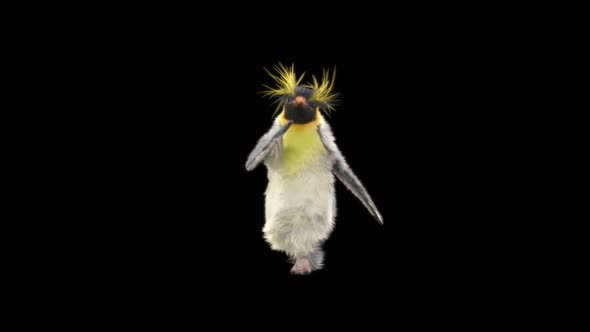Penguin Dancing HD