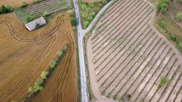 Fields Aerial View, Flight Down