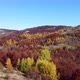 Aerial drone of autumn day with beautiful vibrant colorful leaves in the trees.  Relaxing feeling - VideoHive Item for Sale
