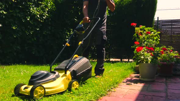 Man Cutting Grass In The Garden