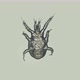 A tick larva under a microscope, found in the soil - VideoHive Item for Sale