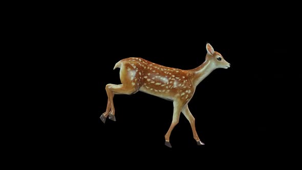 Deer Run
