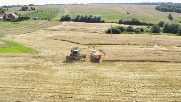 Aerial Drone Shot a Combine Harvester Fills a Wagon of a Tractor with the Harvest in a Field