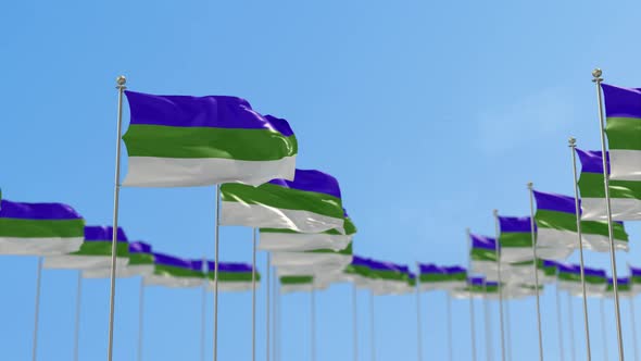 Komi Row Of Flags 3D Animation