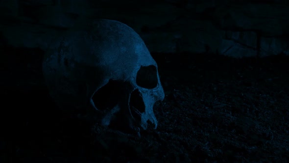 Passing Skull On The Ground At Night