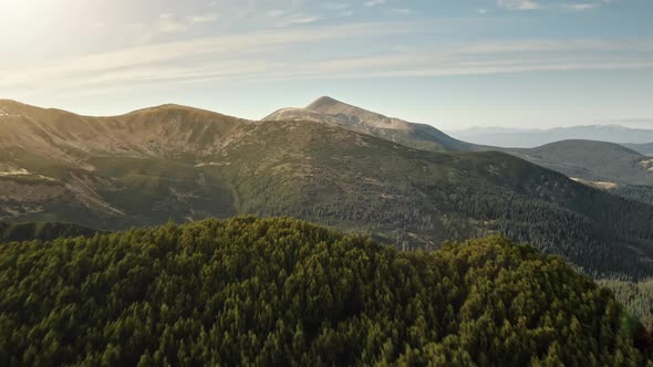 Alps Mountain Range in Pine Trees Forest Aerial