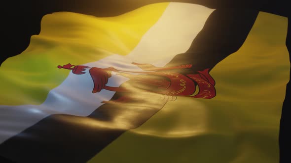 Brunei Flag Low Angle View