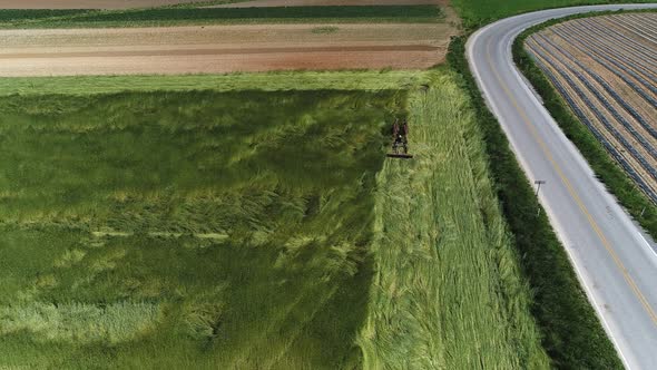 Aerial View of Amish Farm Worker Harvesting Spring Crop With Team of 2 Horses