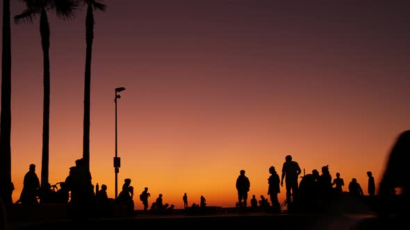 Silhouette of Young Jumping Skateboarder Riding Longboard, Summer Sunset Background. Venice Ocean