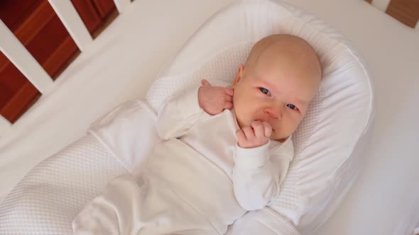 Cute Little Newborn Baby Lies in a Crib in a Newborn Cocoon and Yawns