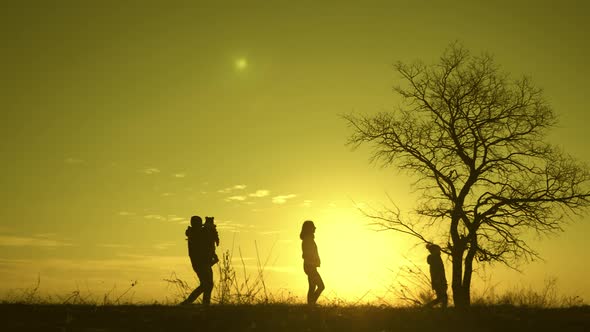 Silhouettes of Happy Family Walking in the Meadow Near a Big Tree During Sunset