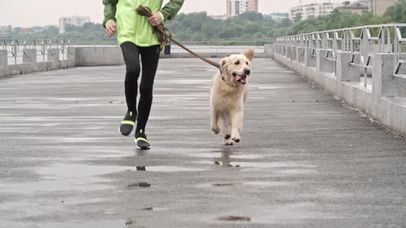 Child Bringing Dog for a Run