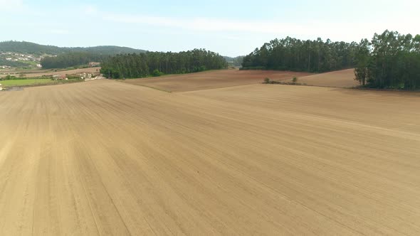 Empty Agriculture Field