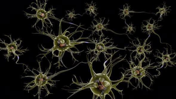 Neuronal and Synapse Activity animation.