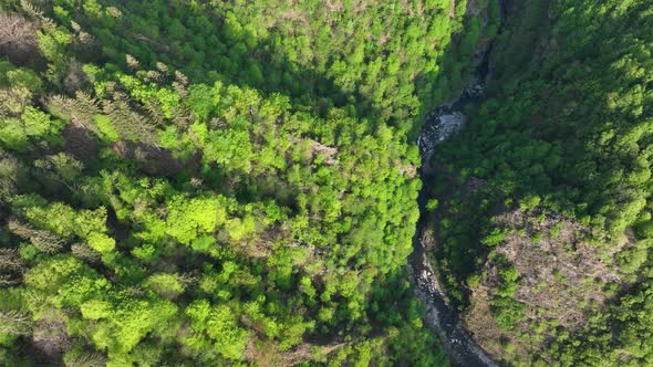 Narrow creek running through lush green Italian alp valley; drone top down