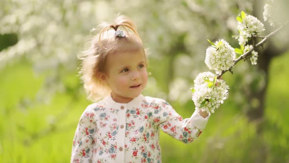 Little Cute Girl at Flowering Tree in Garden
