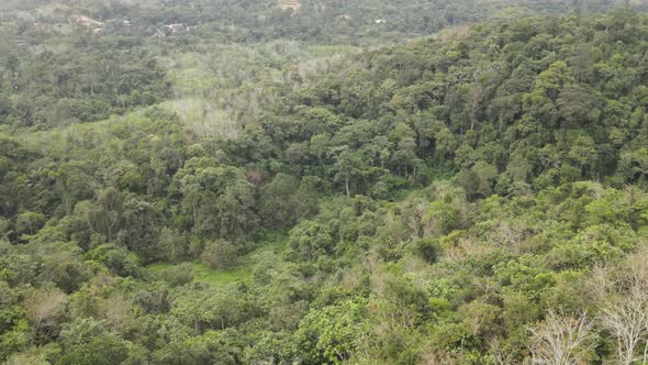 Aerial view of Forest Reserve in Pahang